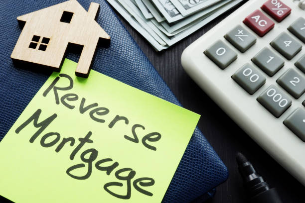 What Are the 3 Types of Reverse Mortgages