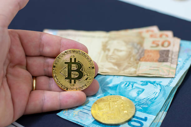 pedrovazpaulo crypto investment