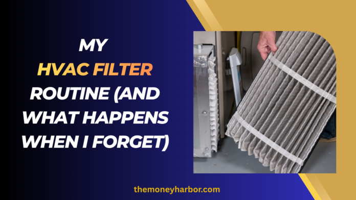 My HVAC Filter Routine (and What Happens When I Forget)